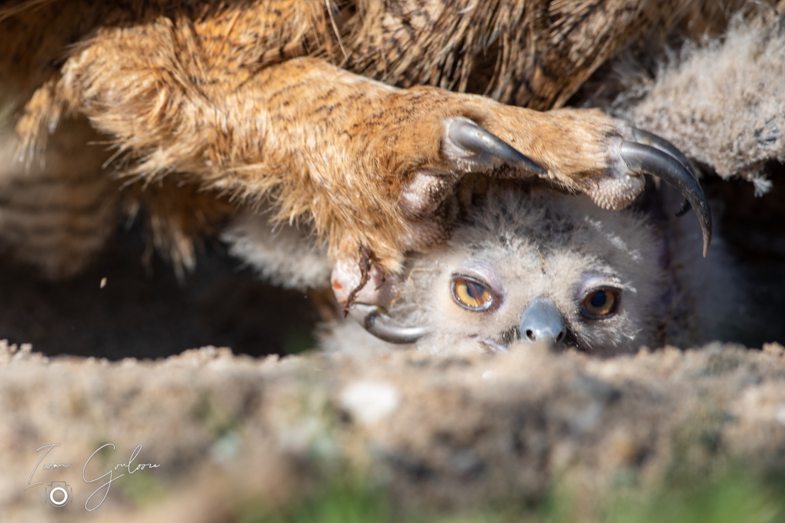 18 april 2022 100709  5D46494